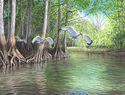 River Journey -Large Canvas Print